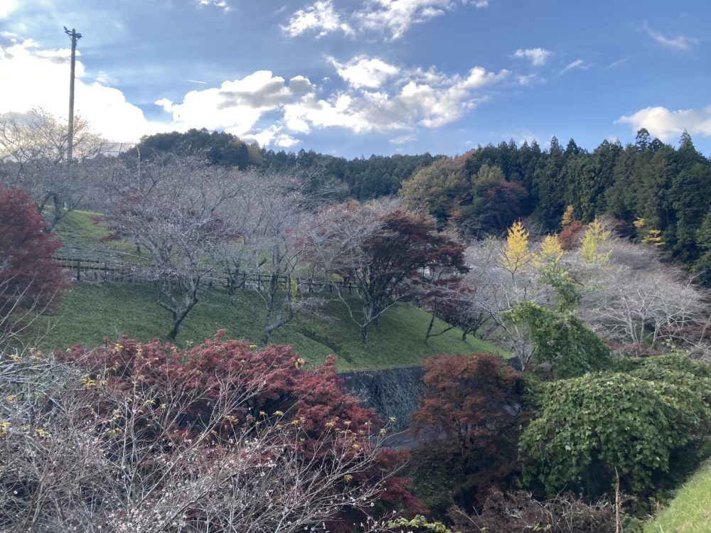 小原ふれあい公園